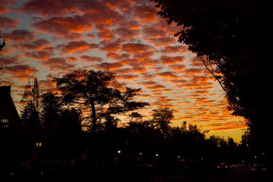 076 - Once Upon A Time